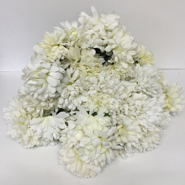 FLOWER, Chrysanthemum Spray - White